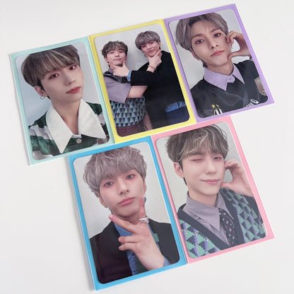 Rose Photocard Sleeves (25 pack)